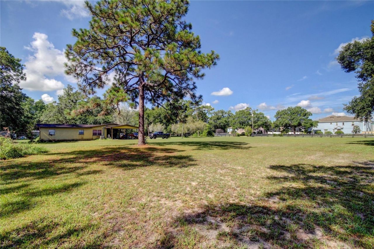 12853 Olive Jones Road, Tampa, FL 33625 Photo