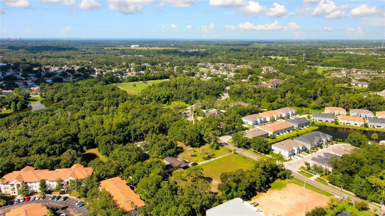 12853 Olive Jones Road, Tampa, FL 33625 Photo