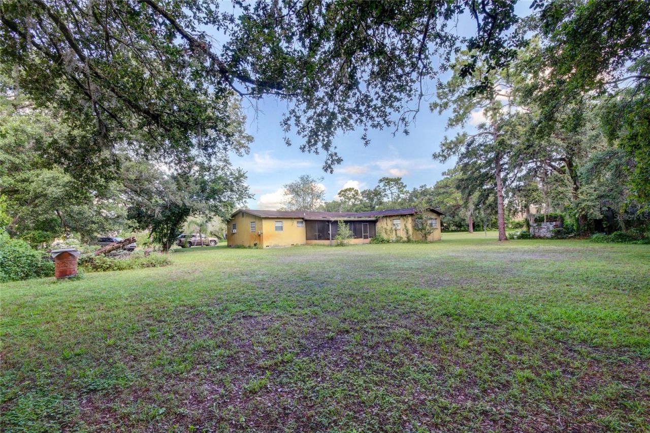 12853 Olive Jones Road, Tampa, FL 33625 Photo
