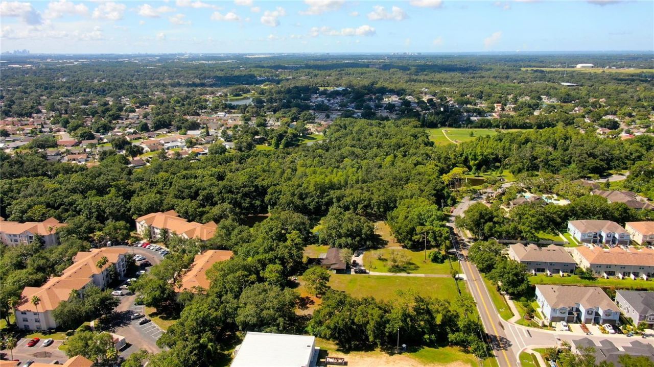 12853 Olive Jones Road, Tampa, FL 33625 Photo