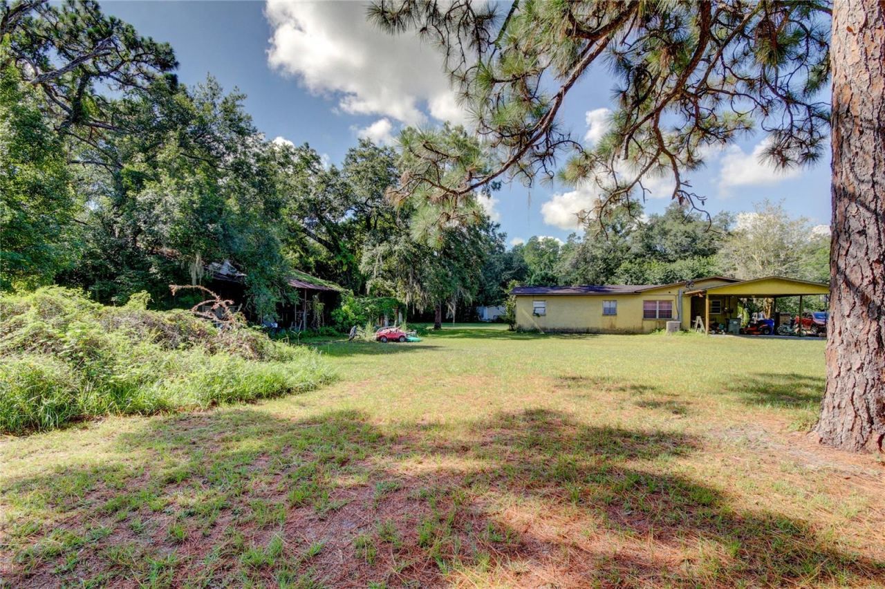 12853 Olive Jones Road, Tampa, FL 33625 Photo