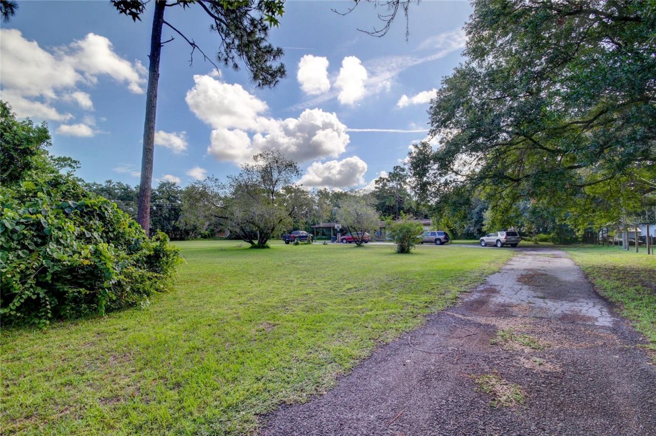 12853 Olive Jones Road, Tampa, FL 33625 Photo