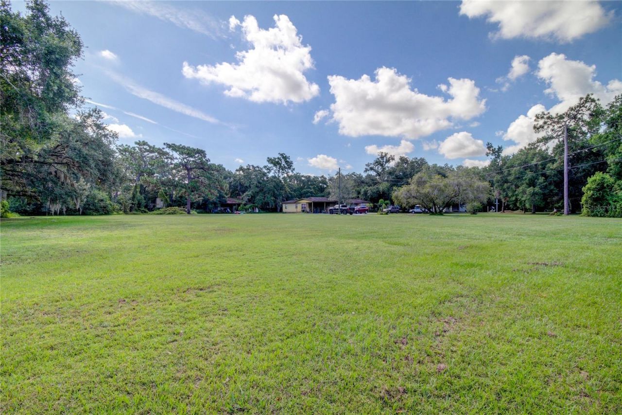 12853 Olive Jones Road, Tampa, FL 33625 Photo