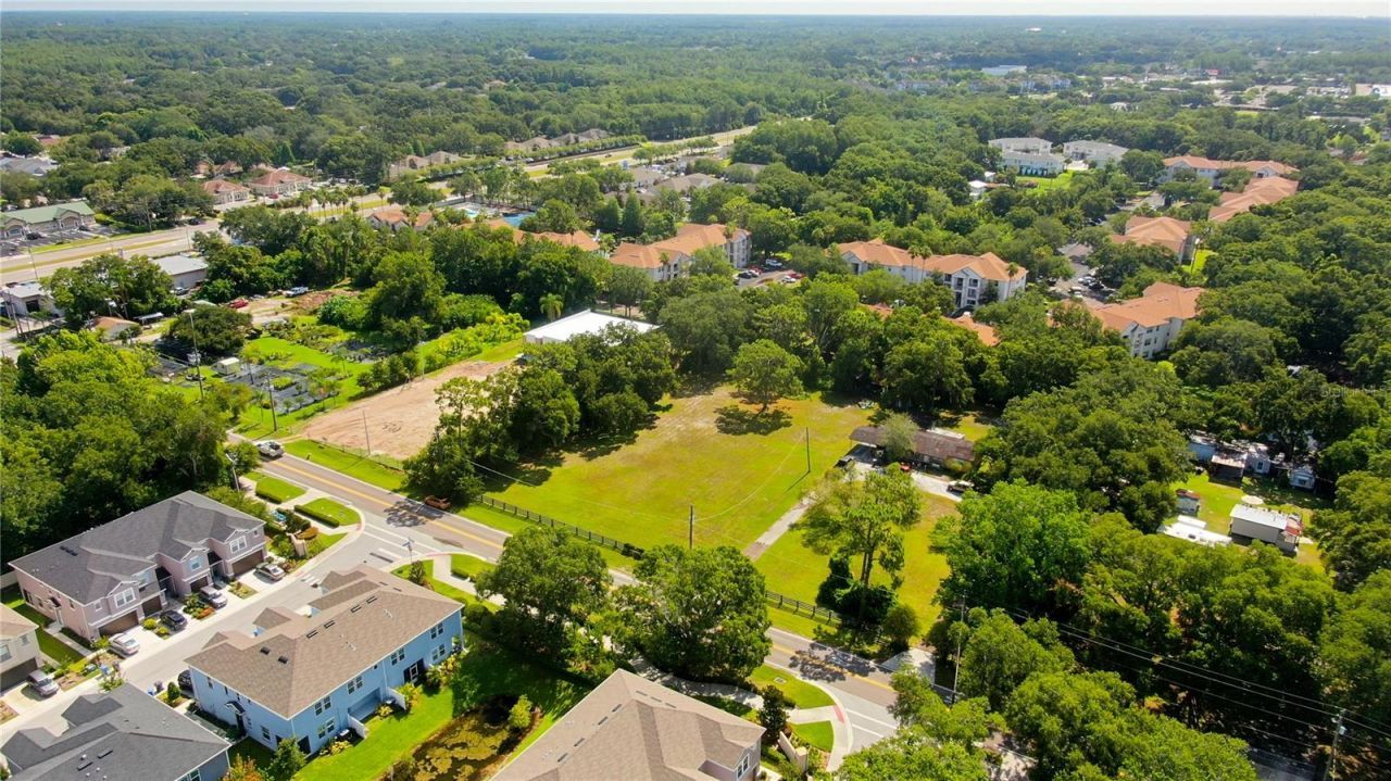 12853 Olive Jones Road, Tampa, FL 33625 Photo