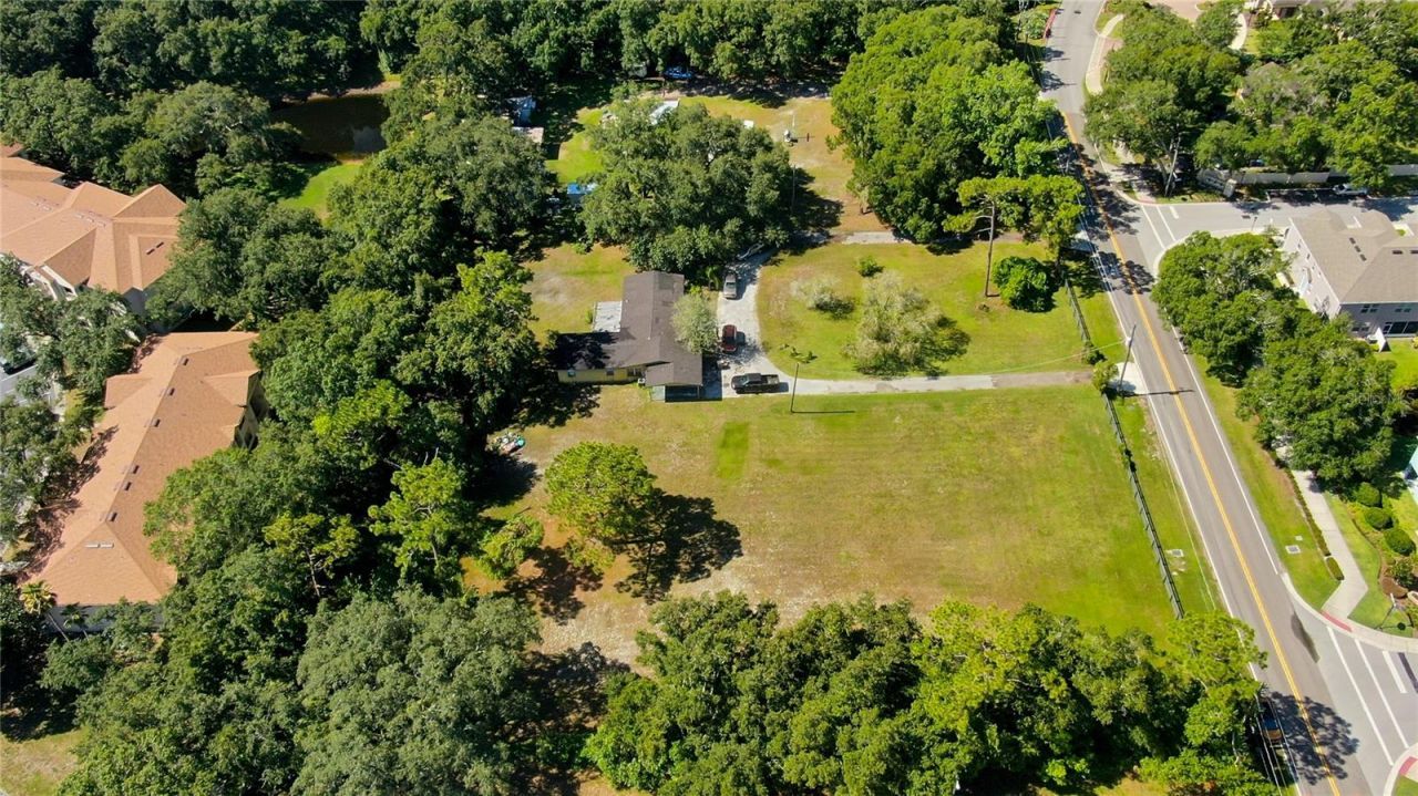 12853 Olive Jones Road, Tampa, FL 33625 Photo