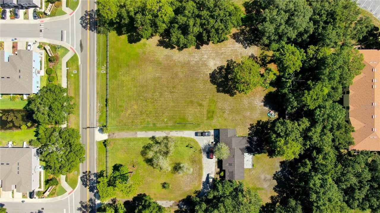 12853 Olive Jones Road, Tampa, FL 33625 Photo