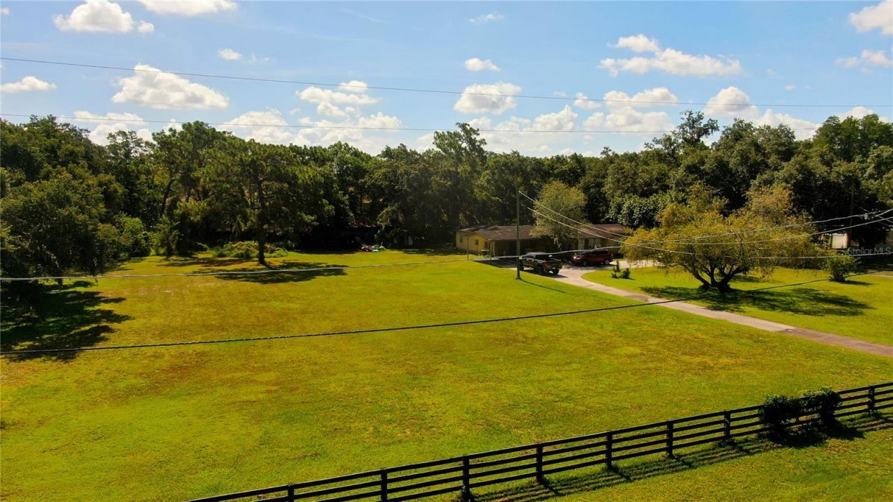 12853 Olive Jones Road, Tampa, FL 33625 Photo