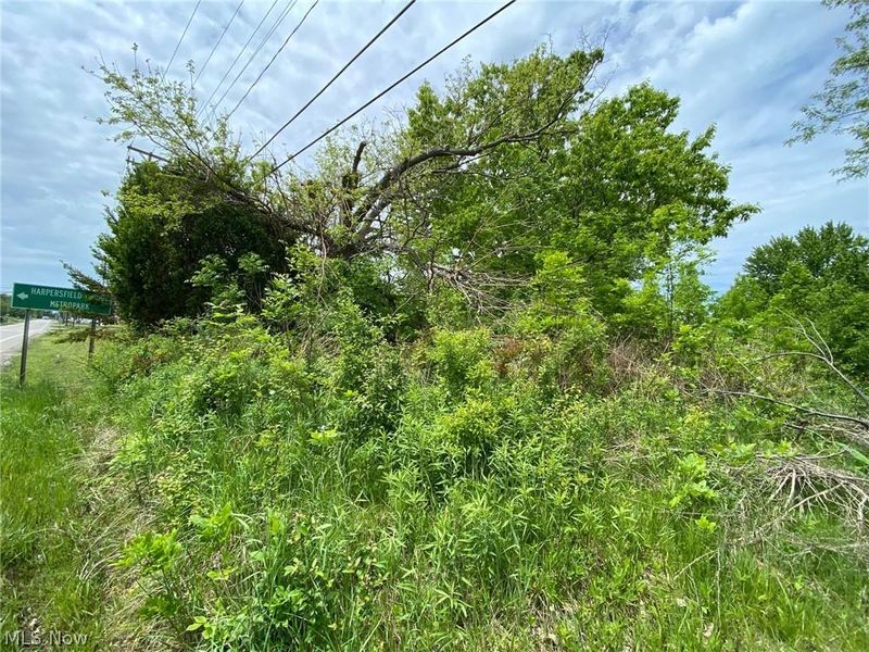 5323 N River State Rd 307 Road, Geneva, OH 44041 Photo 2