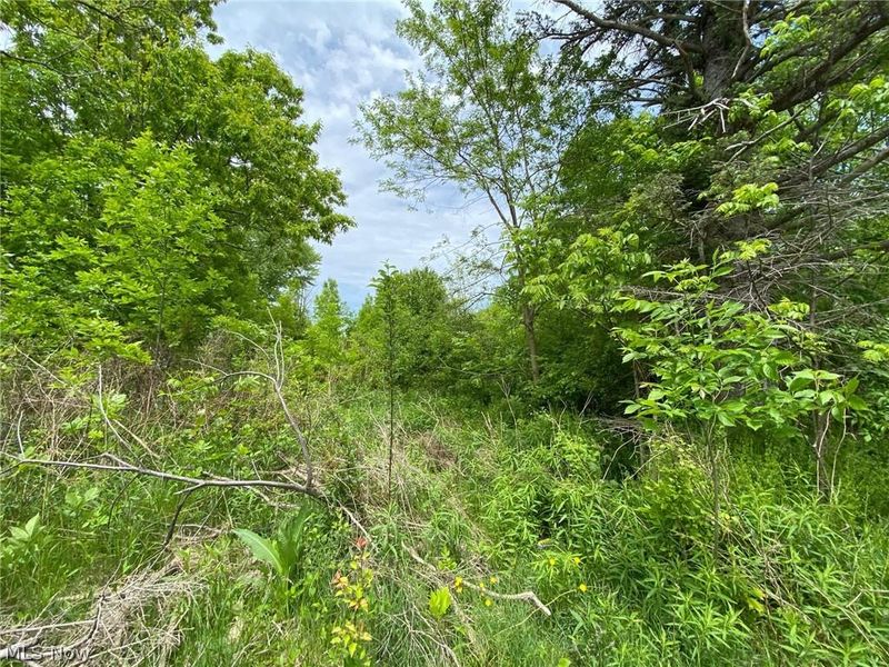 5323 N River State Rd 307 Road, Geneva, OH 44041 Photo 3