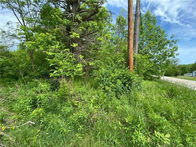 5323 N River State Rd 307 Road, Geneva, OH 44041 Photo 4