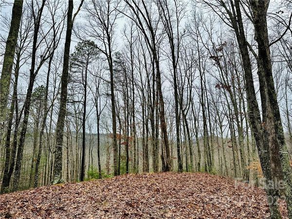 921 Wild River Run, Marshall, NC 28753