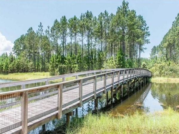 CREEK PINES CIRCLE, WEWAHITCHKA, FL 32465
