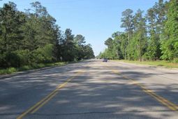 Tbd Weehaw Plantation Dr. photo 4