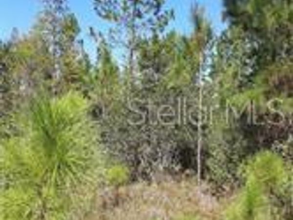 SALYERS ROAD, CLERMONT, FL 34714