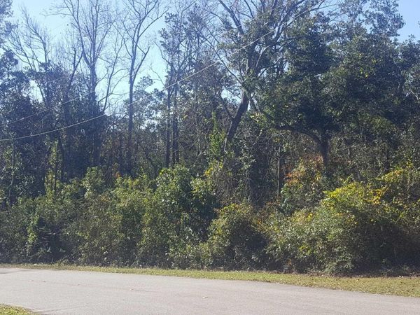 2062 Clubhouse Drive, Lillian, AL 36549