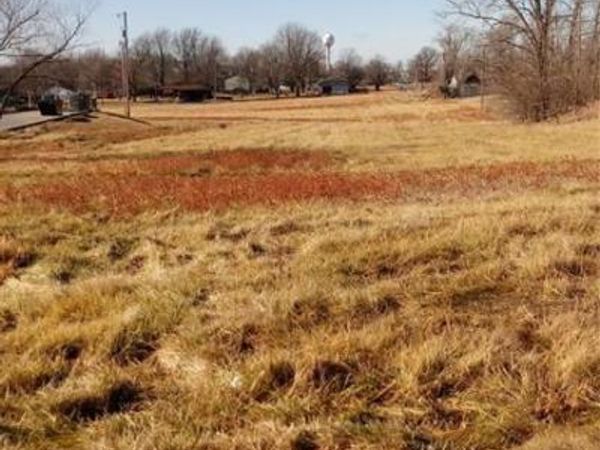 Main Street, Stewartsville, MO 64490