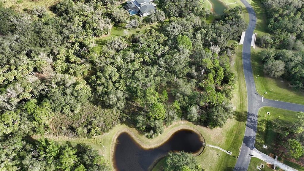 9255 Swaying Branch Road, Sarasota, FL 34241 Photo