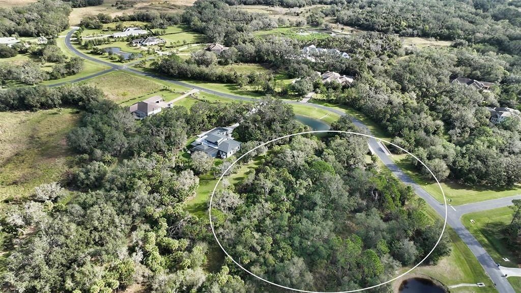 9255 Swaying Branch Road, Sarasota, FL 34241 Photo