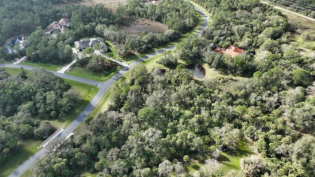 9255 Swaying Branch Road, Sarasota, FL 34241 Photo