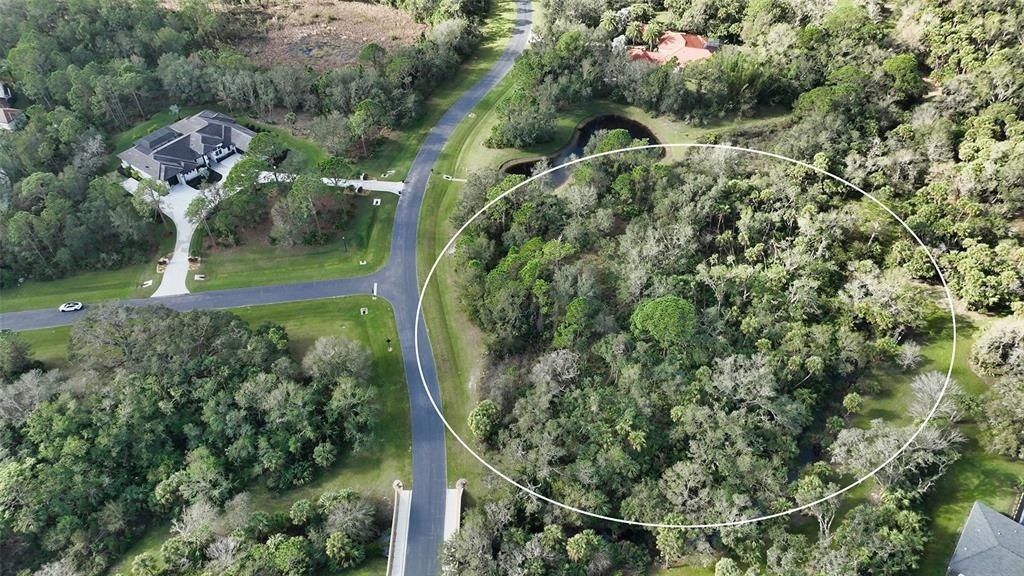 9255 Swaying Branch Road, Sarasota, FL 34241 Photo
