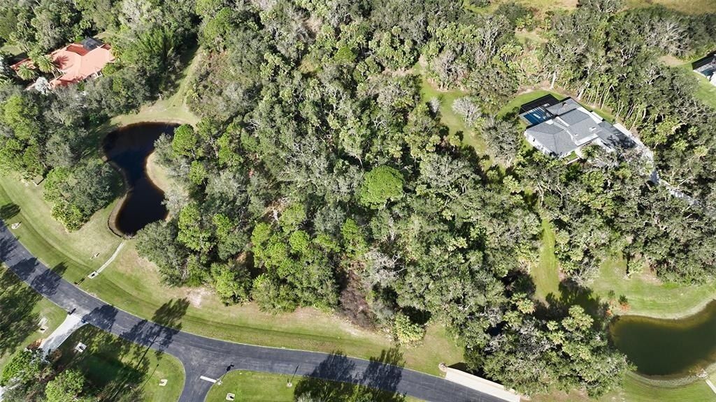9255 Swaying Branch Road, Sarasota, FL 34241 Photo