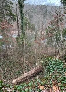 Indian River Boat Dock Rd, Jacksboro, TN 37757 Main Photo