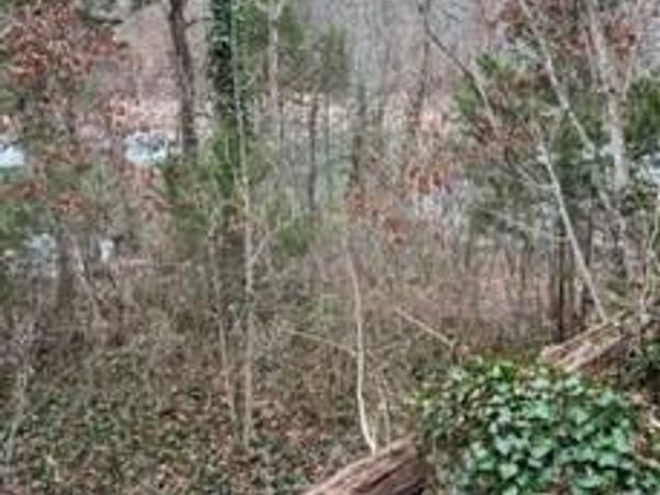 Indian River Boat Dock Rd, Jacksboro, TN 37757