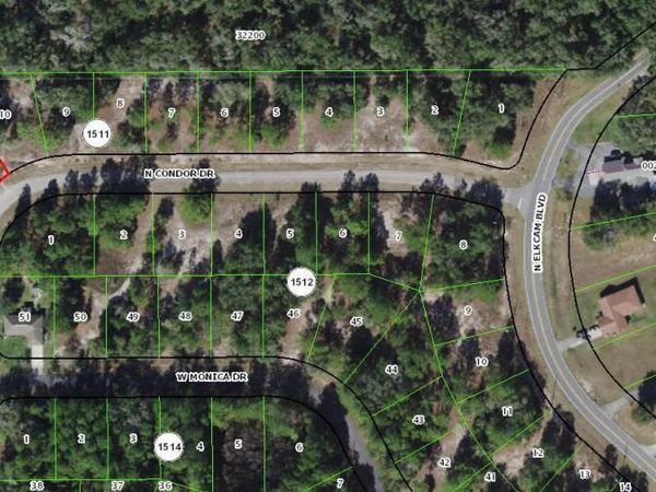 11960 N Condor Drive, Citrus Springs, FL 34433