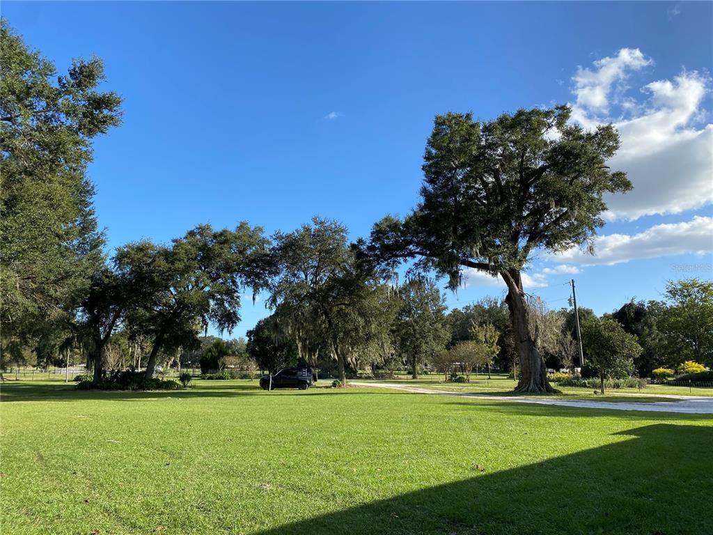 10312 County Road 209, Oxford, FL 34484 Photo