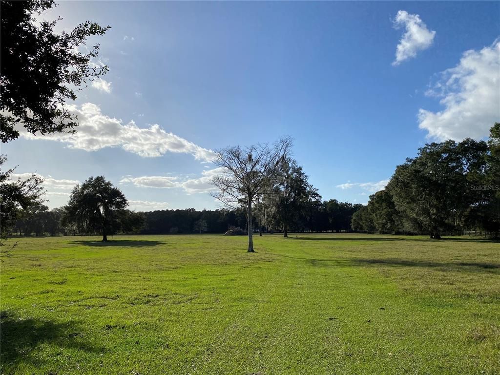 10312 County Road 209, Oxford, FL 34484 Photo