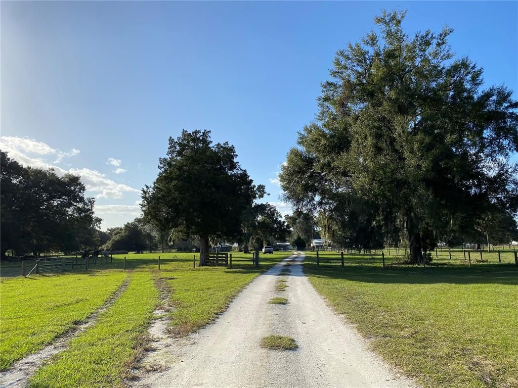 10312 County Road 209, Oxford, FL 34484 Photo