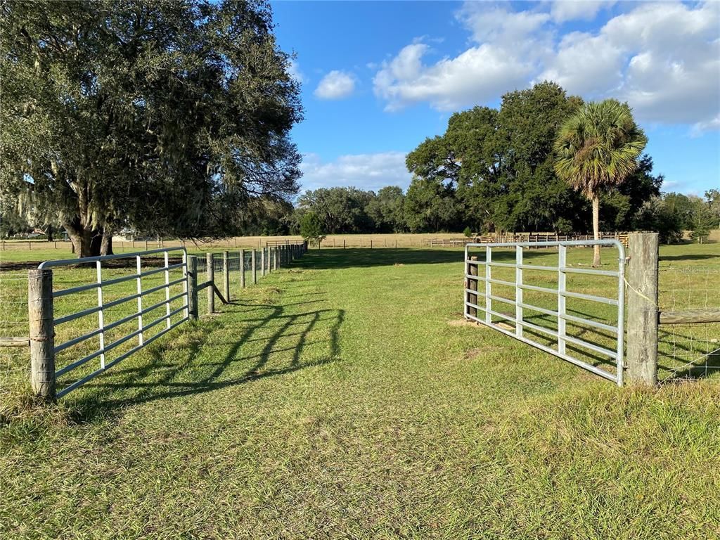 10312 County Road 209, Oxford, FL 34484 Photo