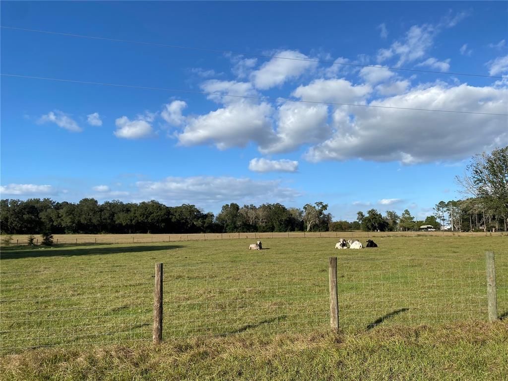 10312 County Road 209, Oxford, FL 34484 Photo