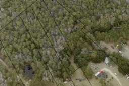 3934 South Fraser St. photo 4