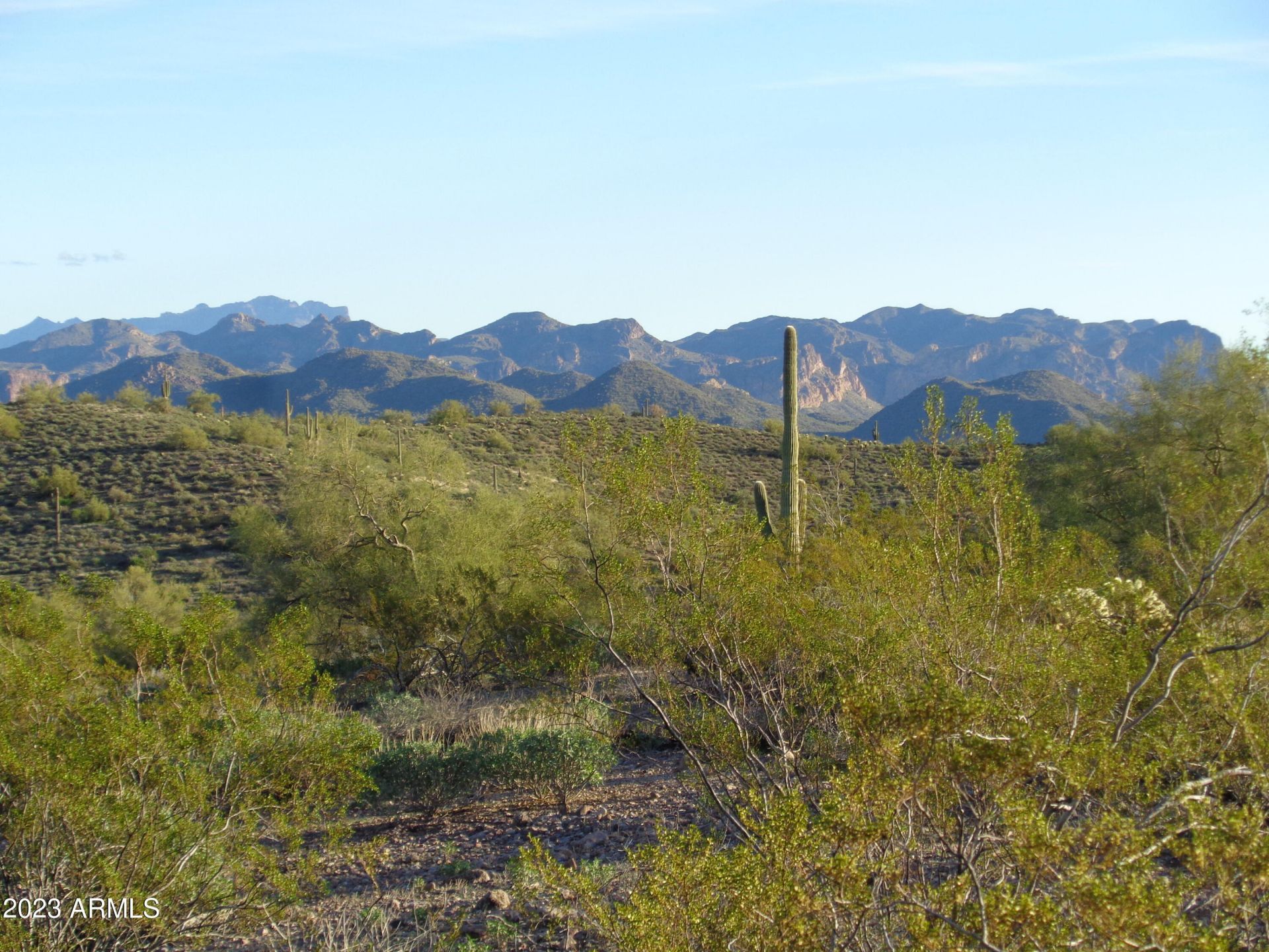 13801 N TIERRA DEL ORO Place, Fort McDowell, AZ 85264