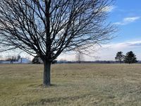 17408 Wildflower Circle, Union, IL 60180 primary photo