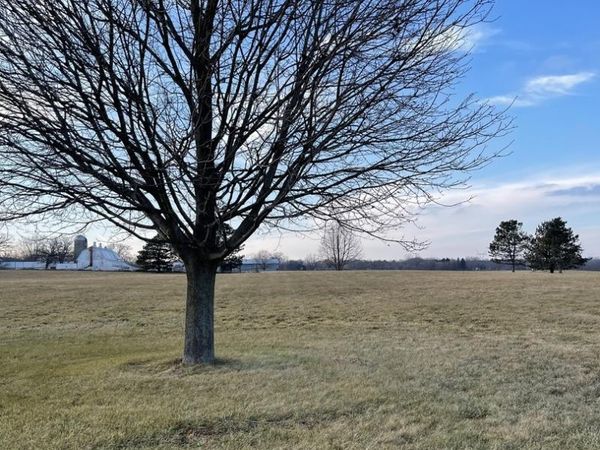 17408 Wildflower Circle, Union, IL 60180