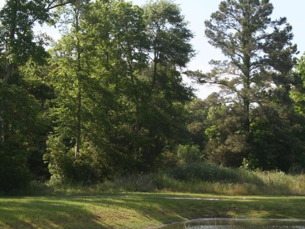 TBD Leisure Ln., Myrtle Beach, SC 29588