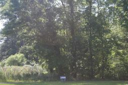 Tbd Leisure Ln. photo 4