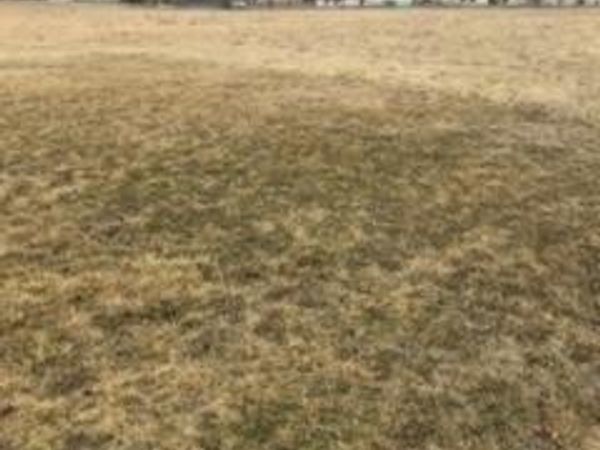 14 Boulder Drive, Carlock, IL 61725