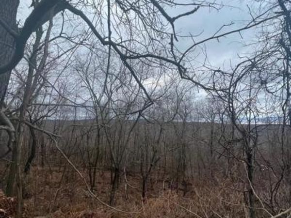 17629 SHIRLEYS KNOB ROAD, CASSVILLE, PA 16623