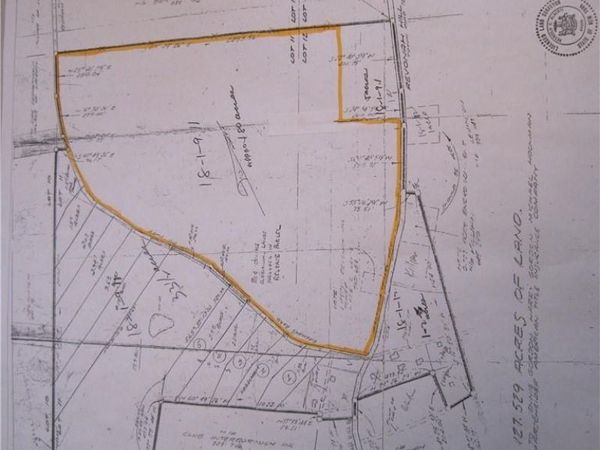 Revonah Hill Road, Liberty, NY 12754