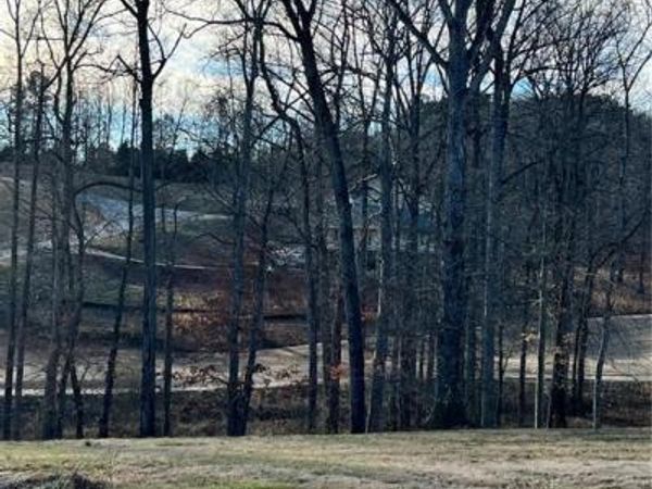 4254 Plantation Drive, Morganton, NC 28655