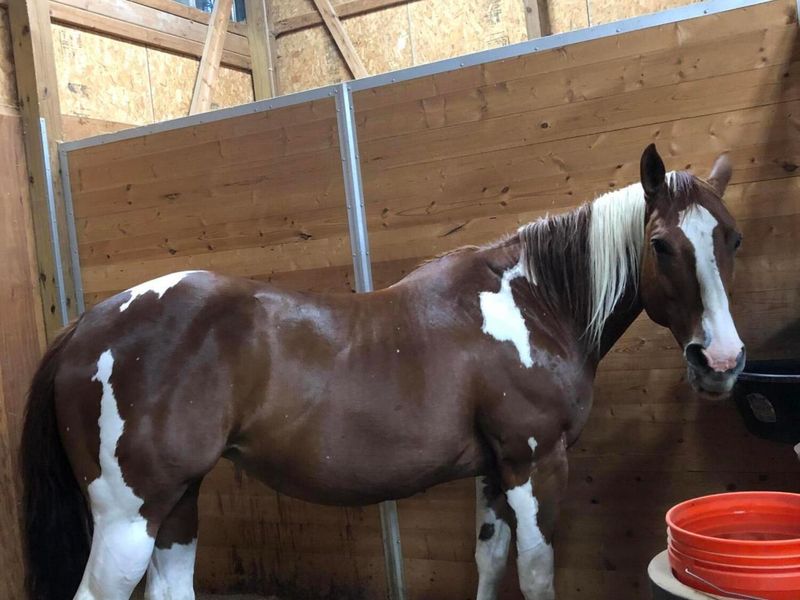 12030 Jug Street, Johnstown, OH 43031 Photo 24