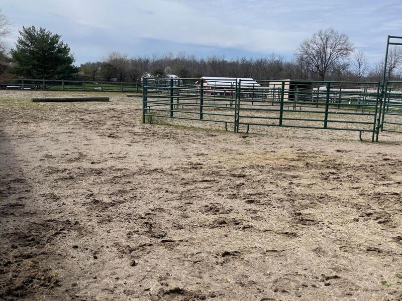 12030 Jug Street, Johnstown, OH 43031 Photo 35