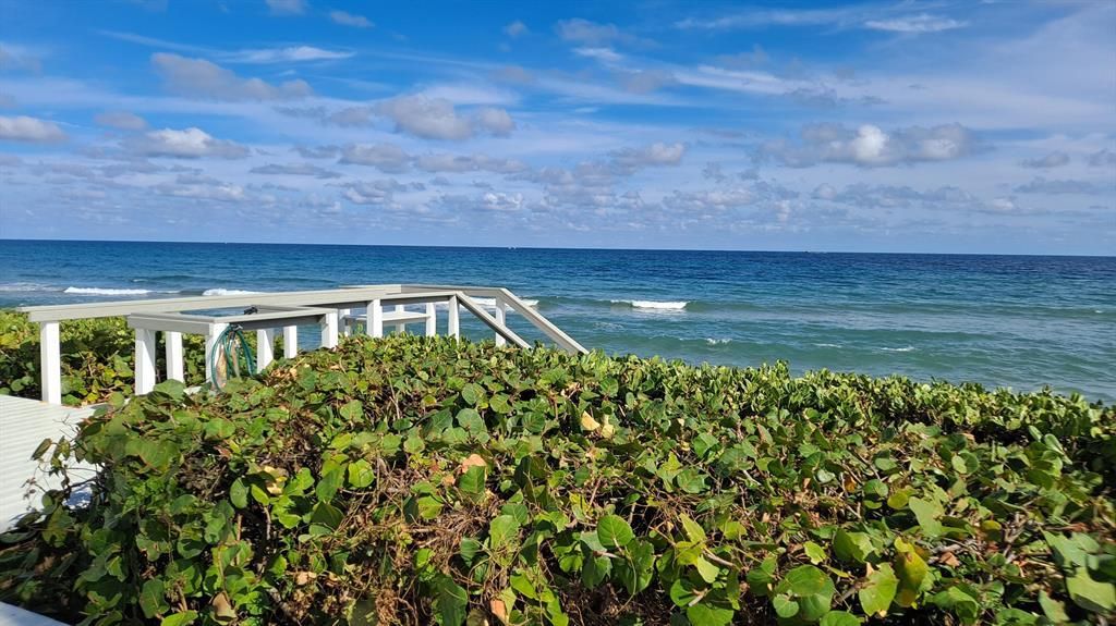 5500 Old Ocean Boulevard, Unit 202, Ocean Ridge, FL 33435 Photo