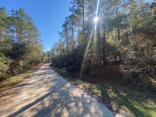 Lot 49, Lot #O&P, Defuniak Springs, FL 32433 Photo