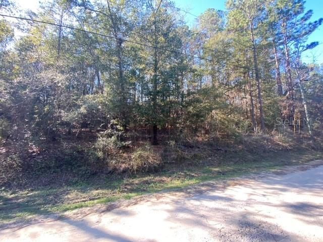 Lot 49, Lot #O&P, Defuniak Springs, FL 32433 Photo