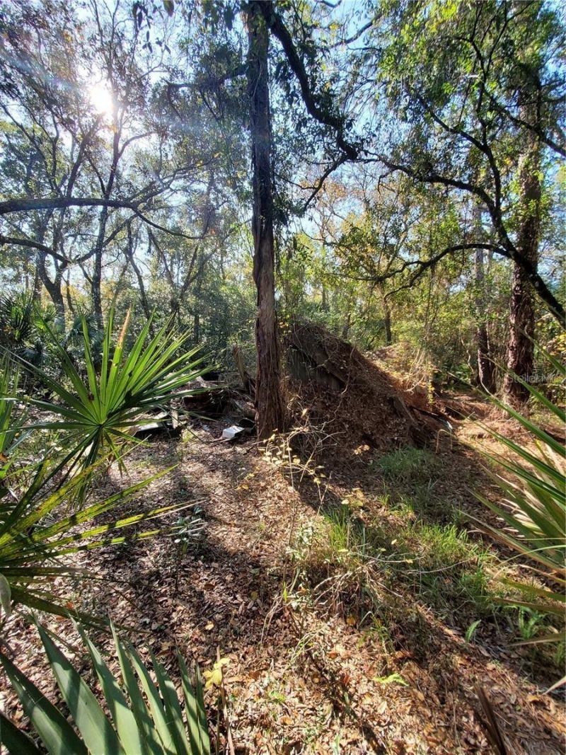 8738 Lindy Lane, New Port Richey, FL 34655 Photo