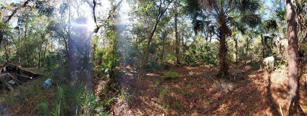 8738 Lindy Lane, New Port Richey, FL 34655 Photo